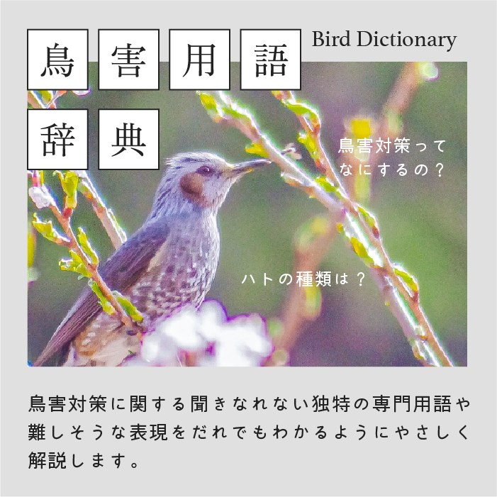 鳥害対策に関する聞き慣れない独特の専門用語を解説する鳥害用語辞典