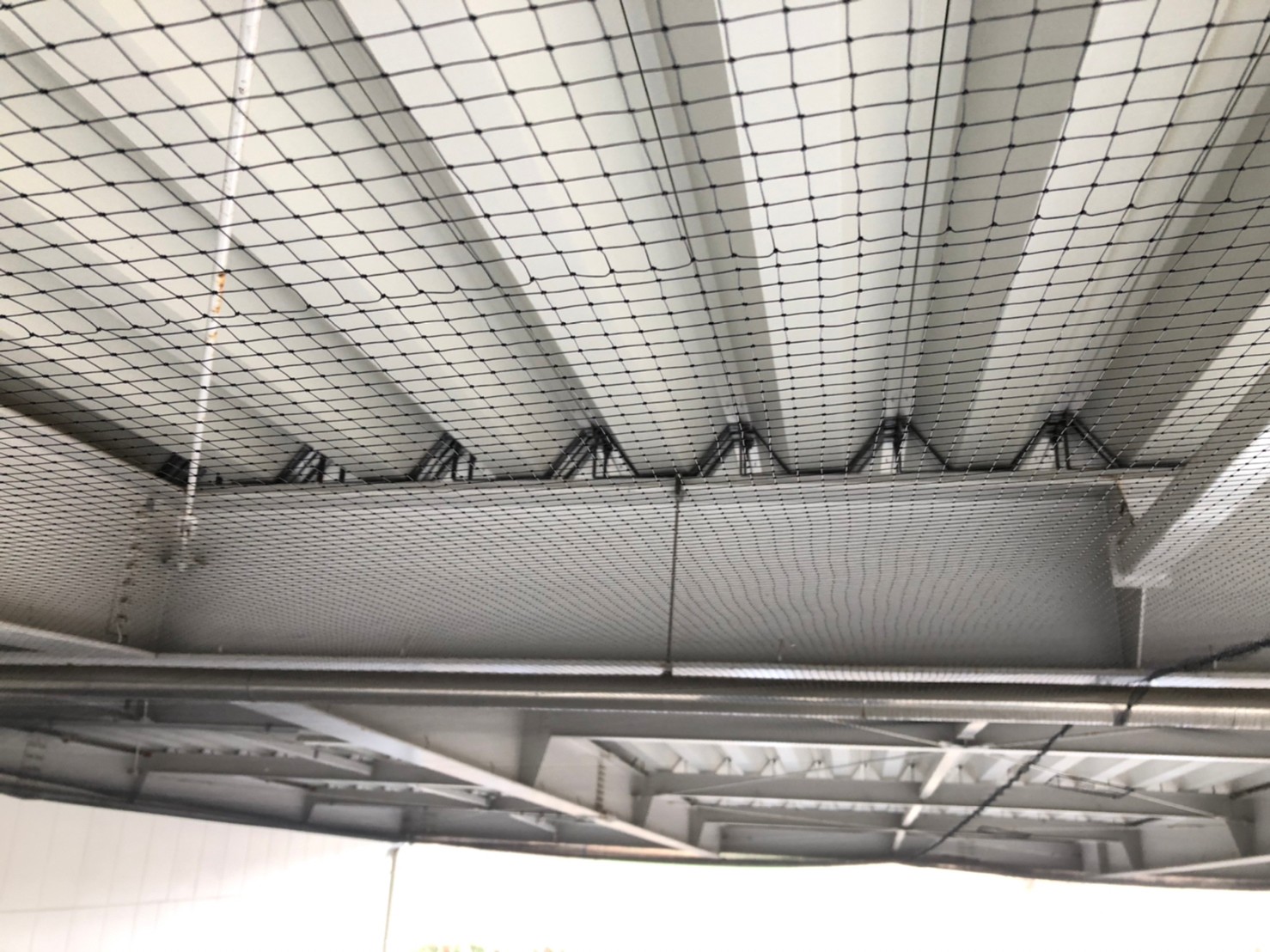 【施工実績】中部支店：某工場様バードネット設置工事 | 鳥害対策（鳩対策・カラス対策）のリーディングカンパニー フジナガの公式ブログ
