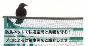 防鳥ネットで快適空間と美観を守る!プロによる対策事例をご紹介します