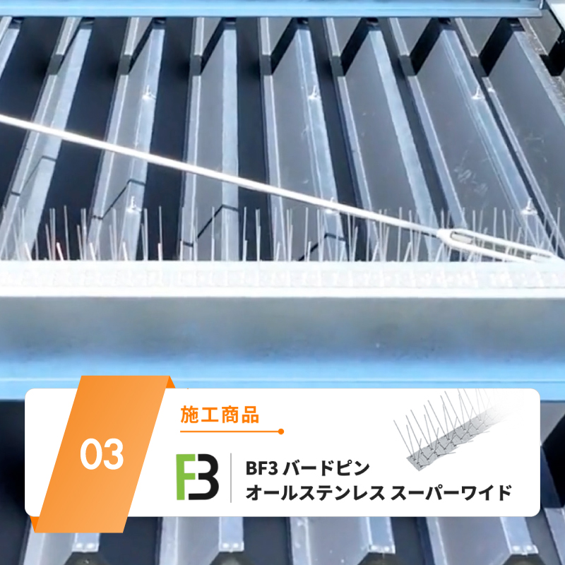施工商品：BF3 バードピン オールステンレス スーパーワイド