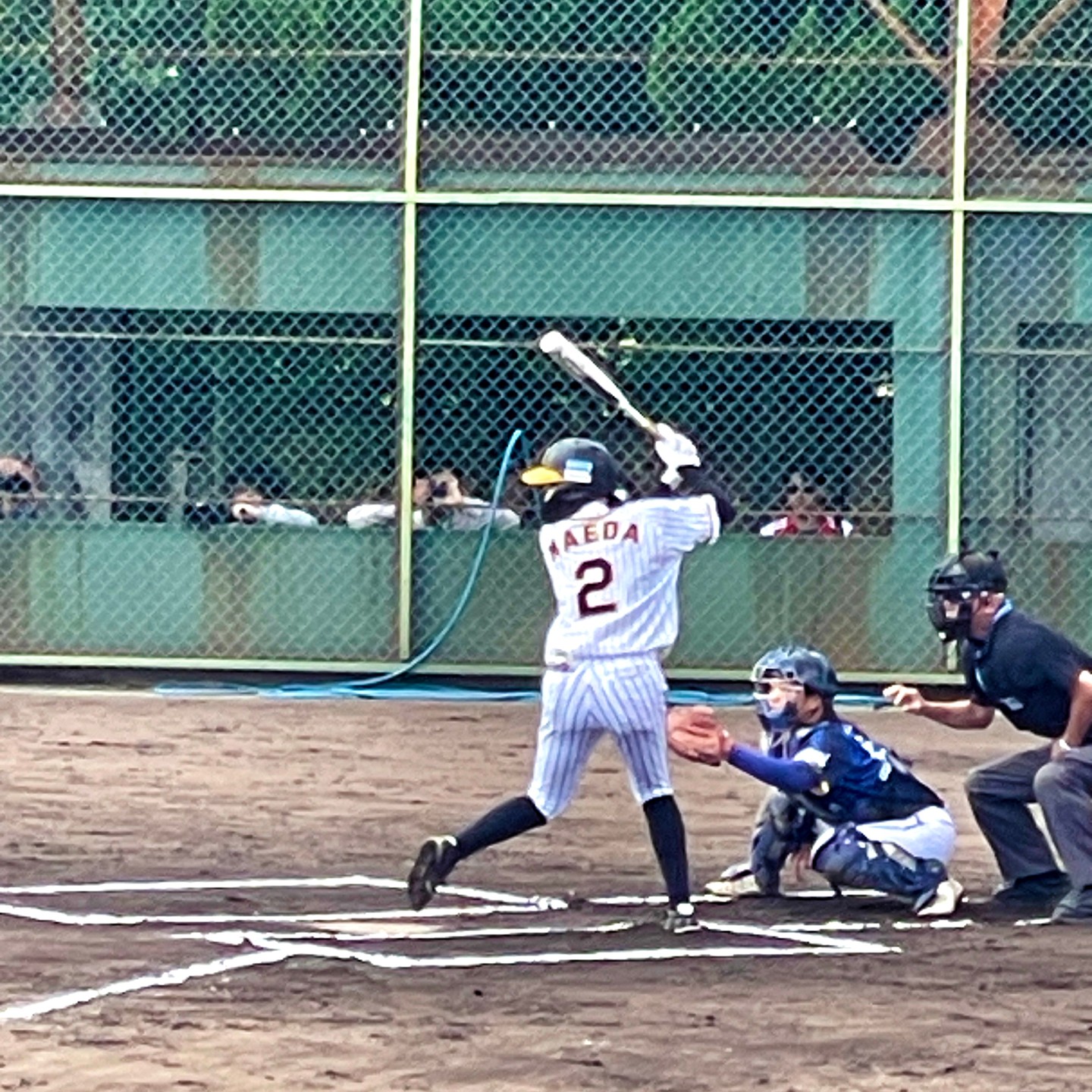 阪神タイガースWomen ラッキーリーグ優勝とシーズン終了のご報告 | 鳥